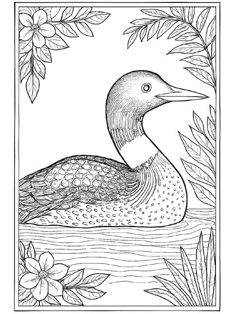detailed coloring page of a loon