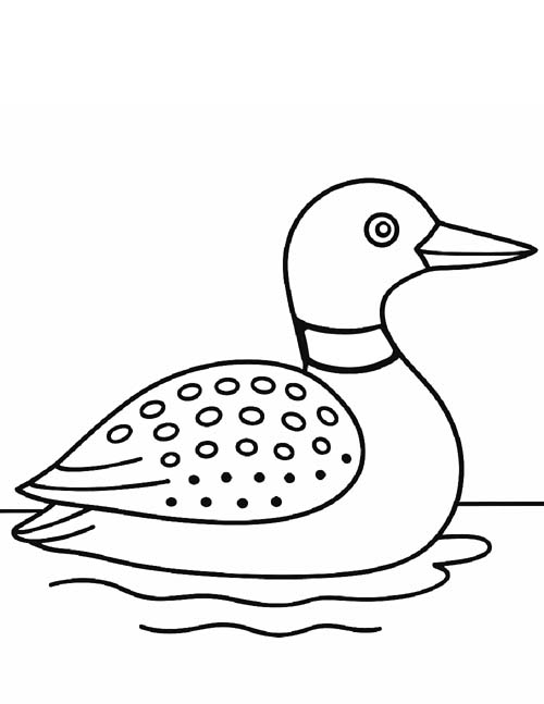 simple coloring page of a loon
