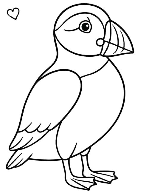 simple puffin coloring page