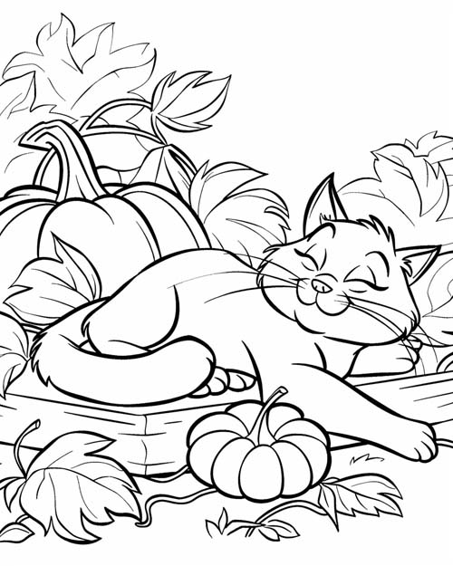 coloring page of a cat in the pumpkin patch