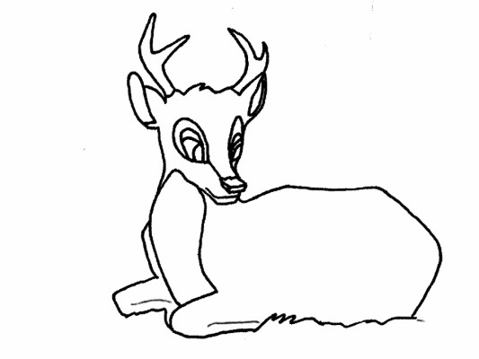 Hand drawn coloring page of a buck