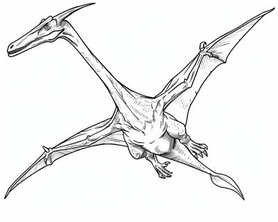 Pterodactyl coloring page