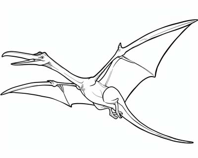 Pterodactyl coloring page