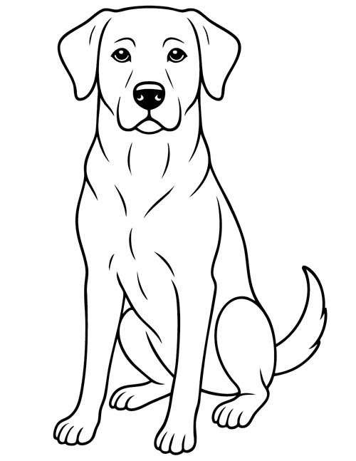 labrador retriever coloring page