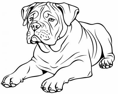 mastiff coloring page