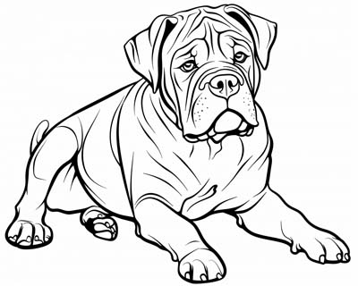 mastiff coloring page