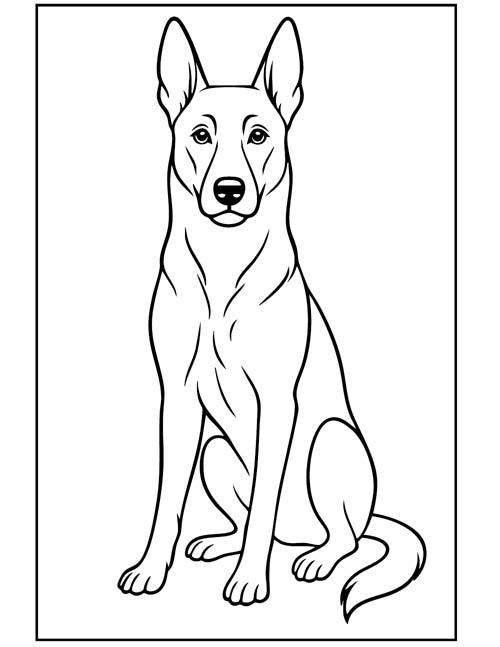 belgian shepherd coloring page