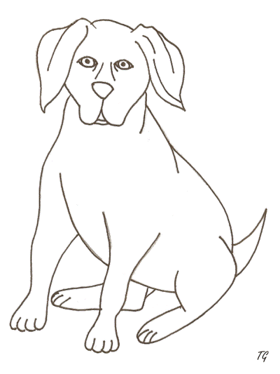 animals coloring book pages