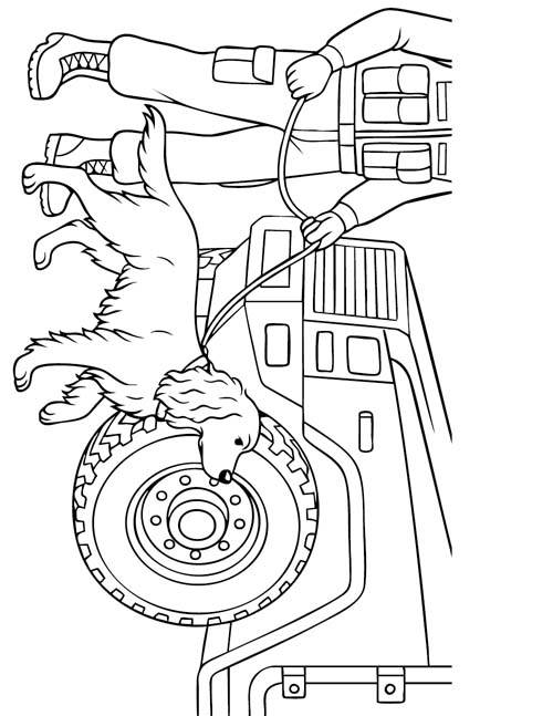 English Springer Spaniel detection dog coloring page