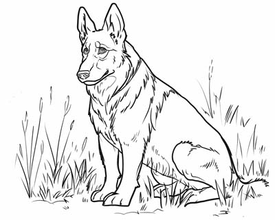 german shepherd coloring page