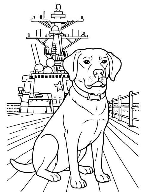 coast guard dog coloring page