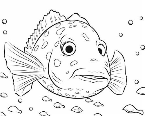 Grouper coloring page