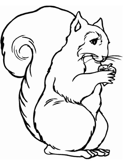 classic coloring page of a squirrel and acorn