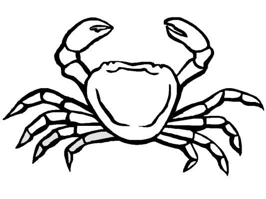 basic crab coloring page