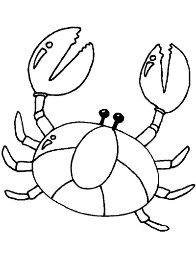 realistic, simple crab coloring page