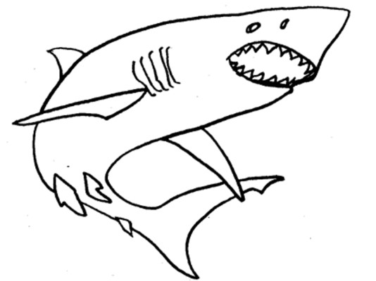 great white shark coloring page
