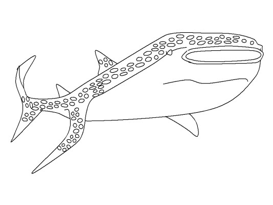 Shark coloring page