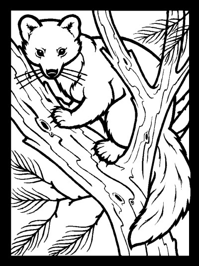 pine martin printable coloring page