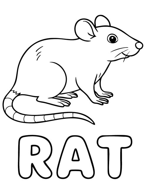 simple vocabulary word coloring page of a rat