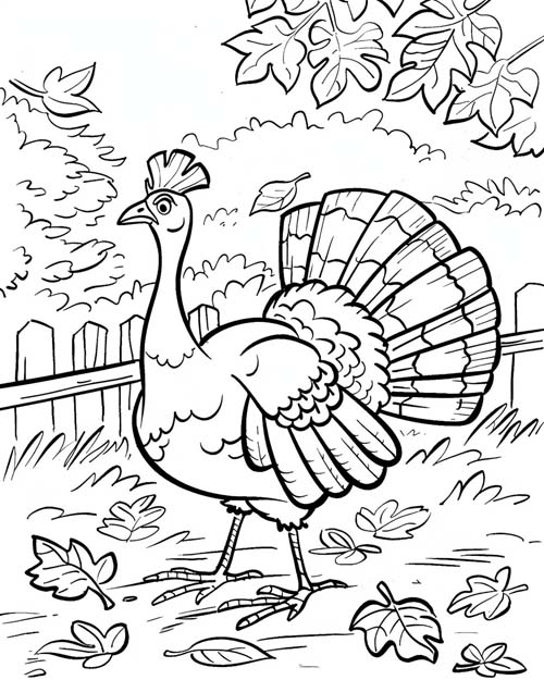 cartoon turkey coloring page