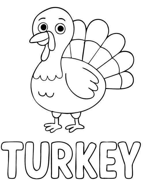 labeled turkey coloring page
