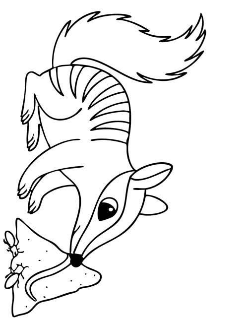 coloring page of a Numbat eating termites