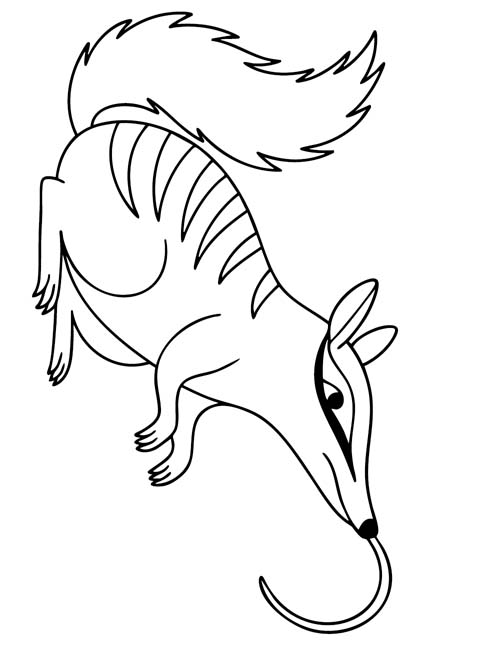 coloring page of a Numbat's tongue