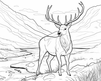 Red Deer Stag coloring page