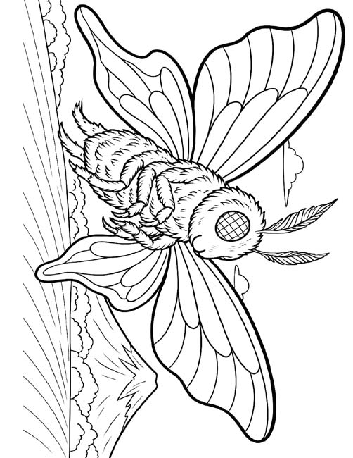 coloring page of Mothra with Mt. Fuji in the background