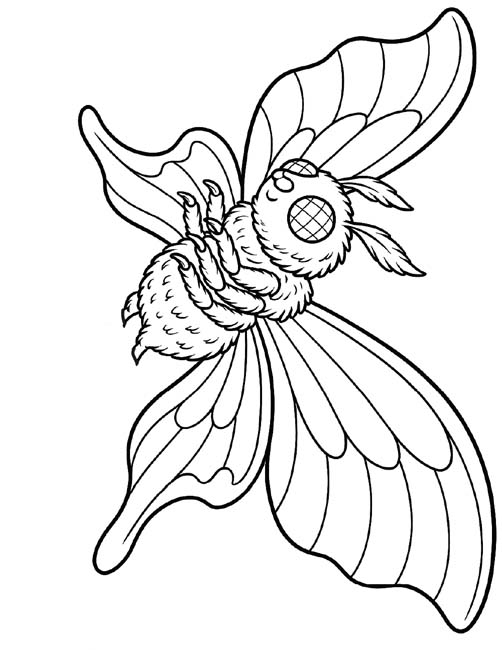 coloring page of Mothra swooping