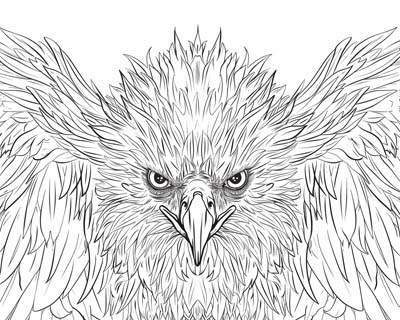 coloring page of the Philippines Eagle