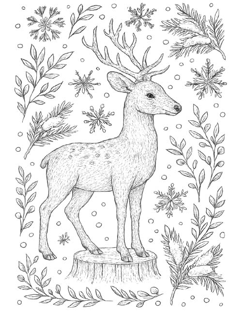 winter deer coloring page for adults