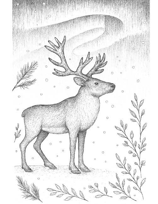winter reindeer coloring page for adults