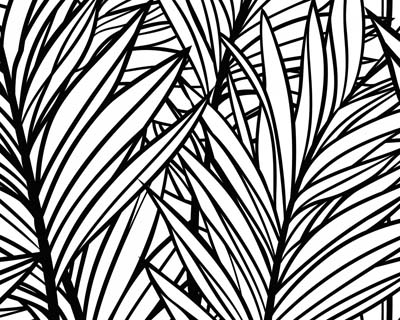 coloring page of a palm frond
