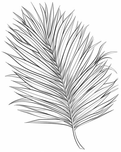 coloring page of a palm frond