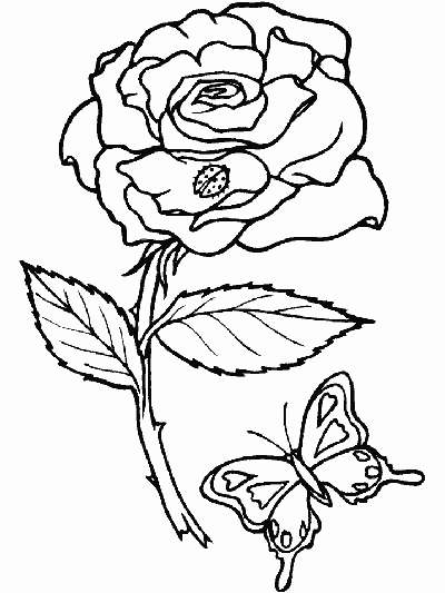 rose and butterfly coloring page