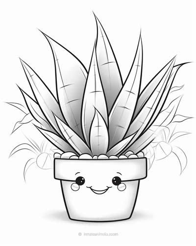 succulent coloring page