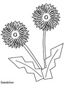 flowers coloring page