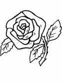 rose coloring page