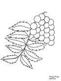 flowers coloring page