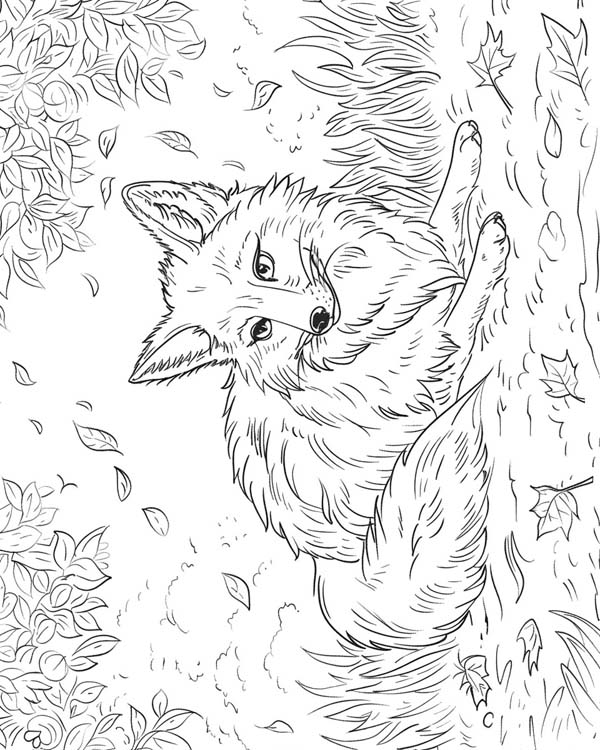 European folklore coloring page of Reynard the Fox