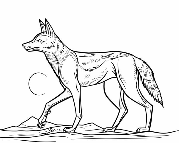 simple coloring page of coyote the trickster