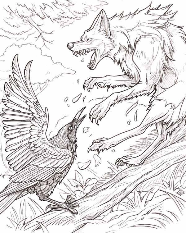 Native American folklore coloring page of coyote and raven as enemies