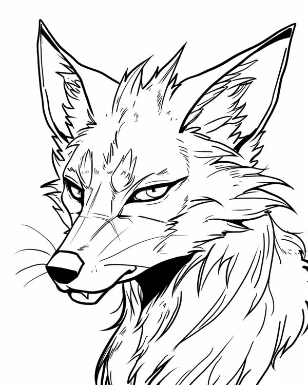 anime coloring page of coyote the trickster
