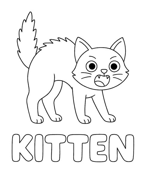 simple vocabulary word coloring page of a scared kitten
