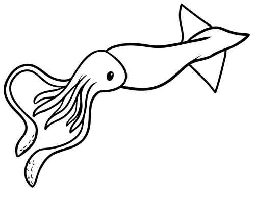 antarctic squid coloring page