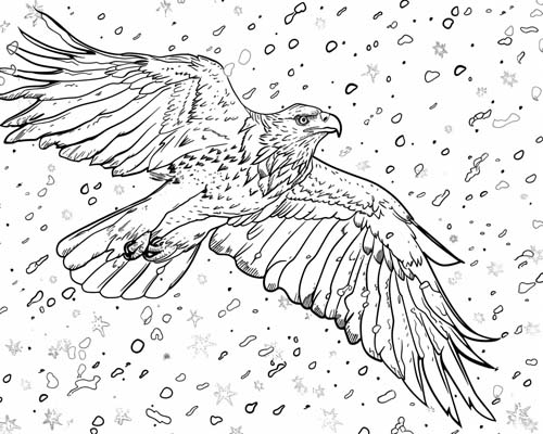 coloring page of a Golden Eagle in winter