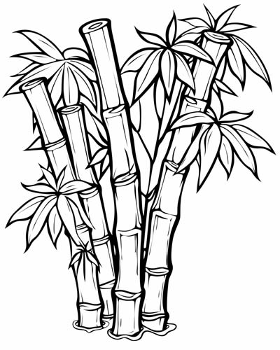 coloring page of bamboo
