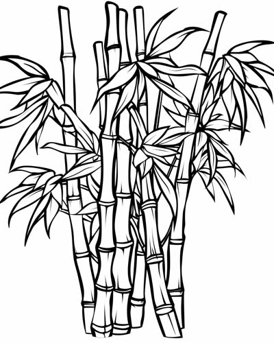 coloring page of bamboo