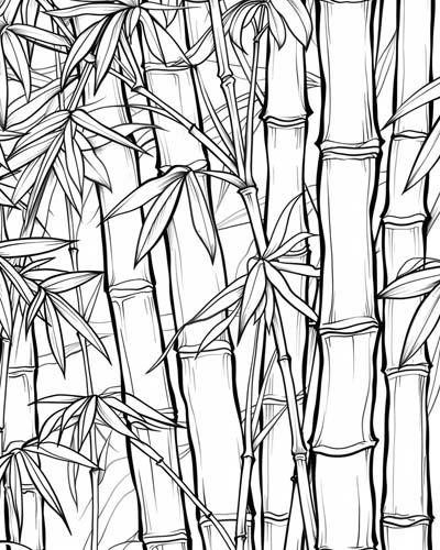 adult coloring page of bamboo